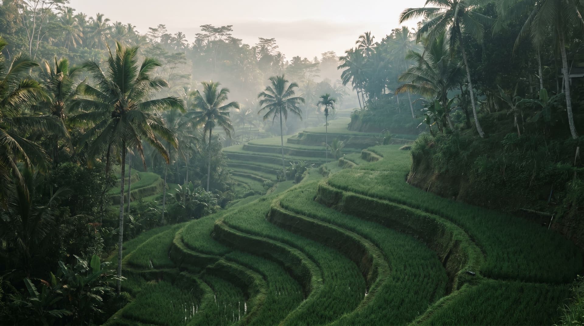 Canggu, Indonesia, editorial landmark