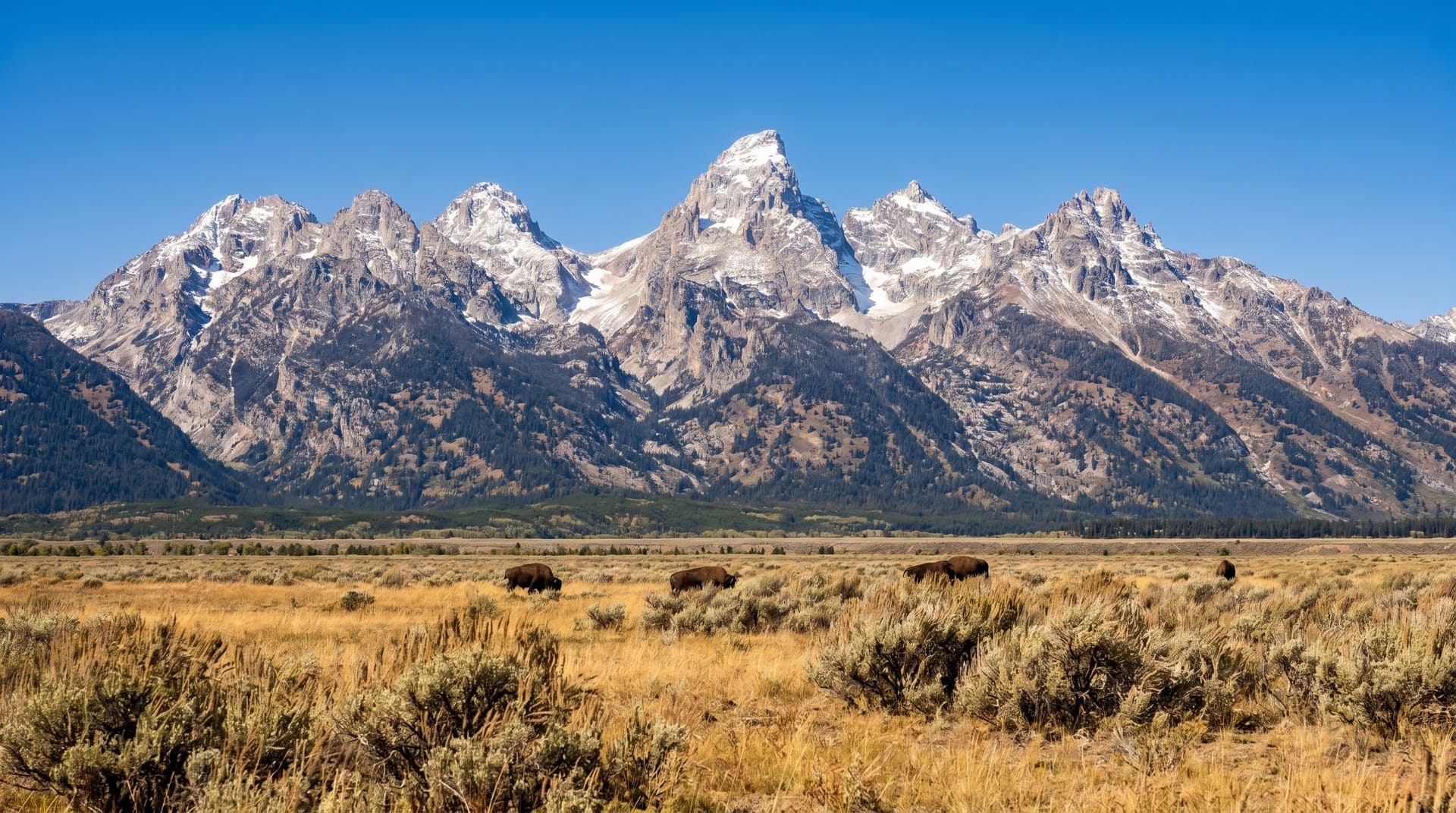 Jackson Hole, United States