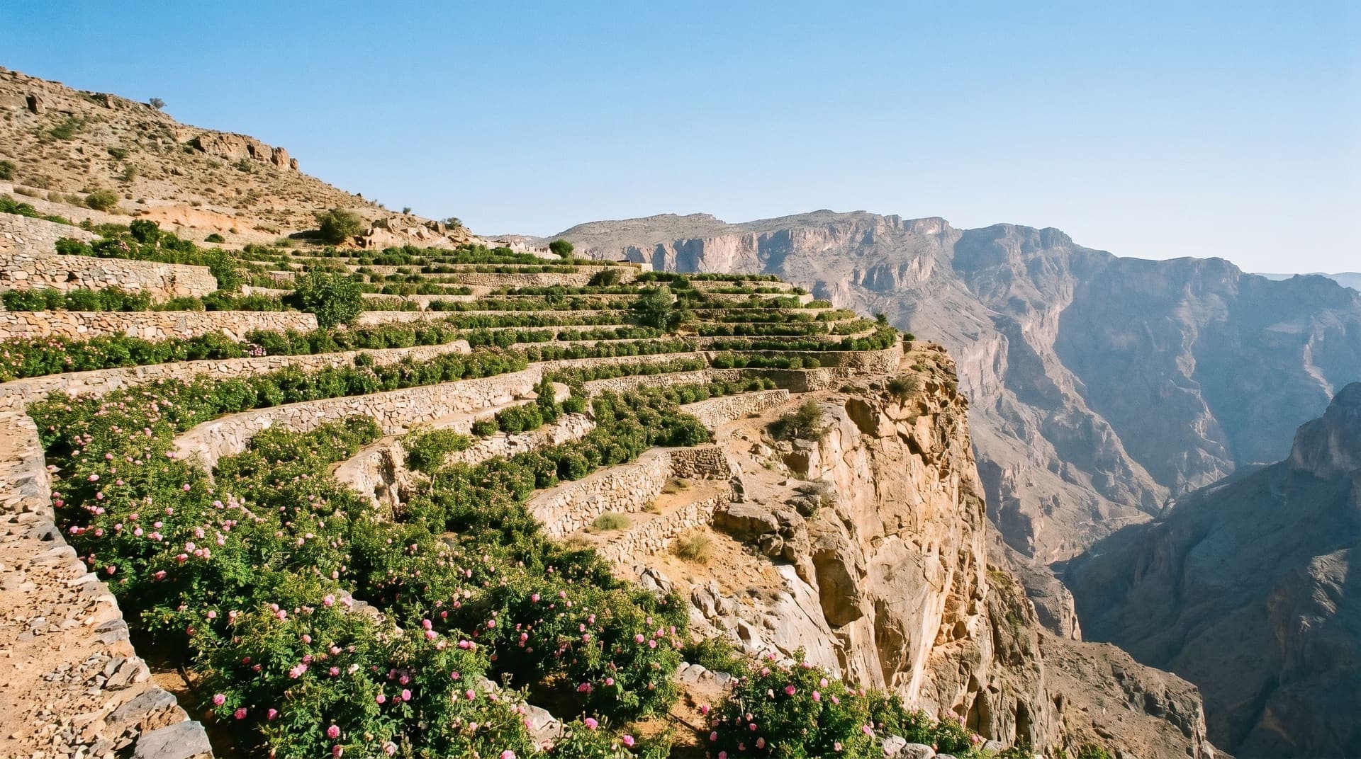 Jebel Akhdar, Oman