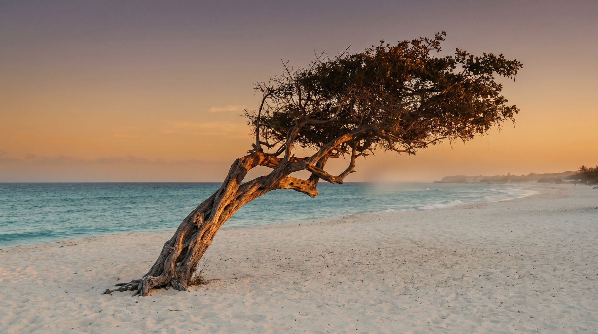 Oranjestad, Aruba