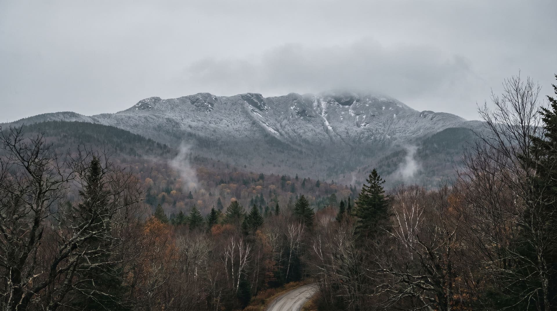 Stowe, United States