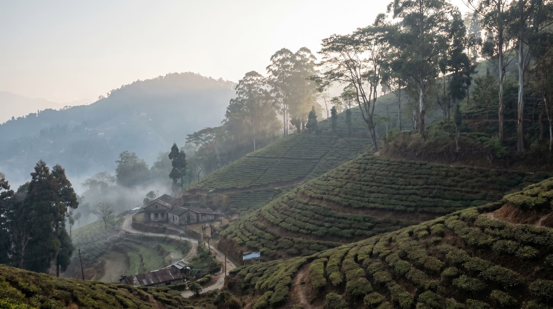 Darjeeling, India, editorial landmark