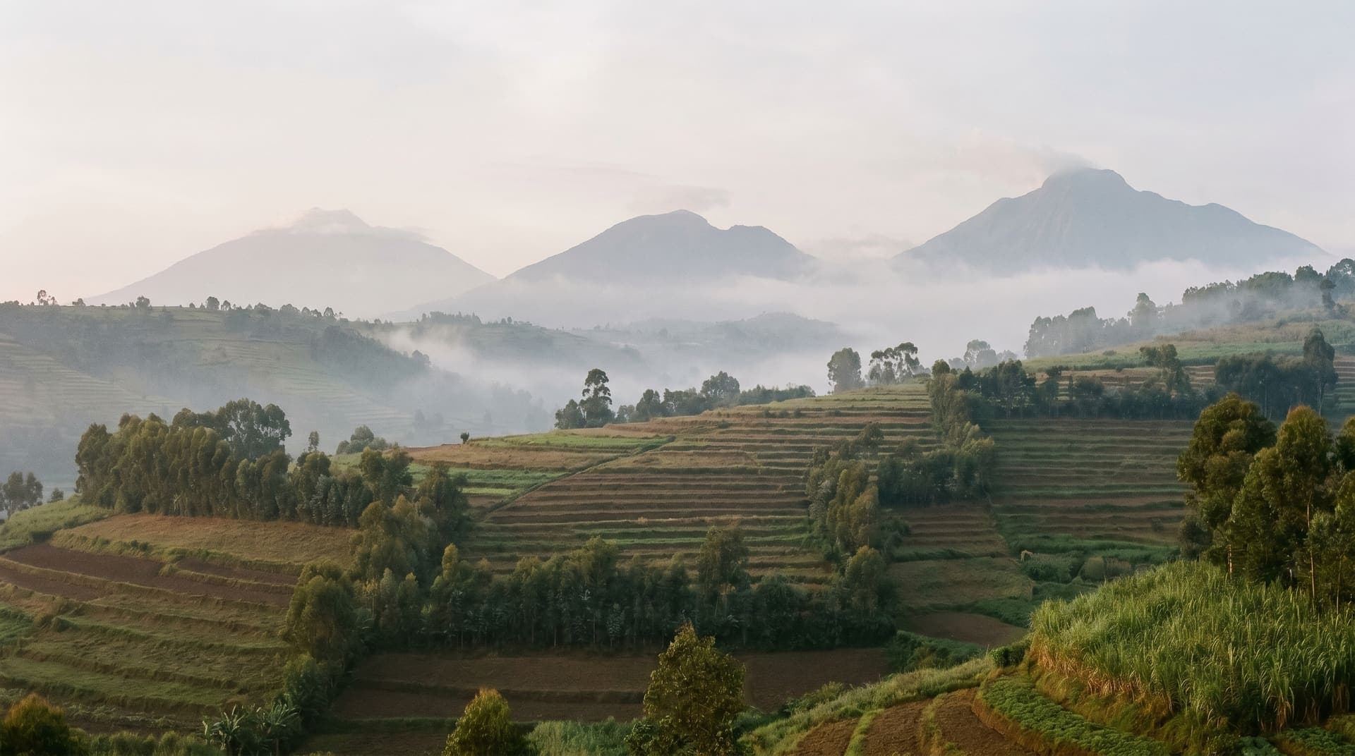 Musanze, Rwanda, editorial landmark
