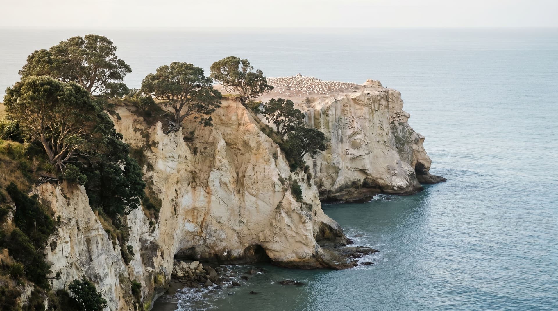 Napier, New Zealand, editorial landmark