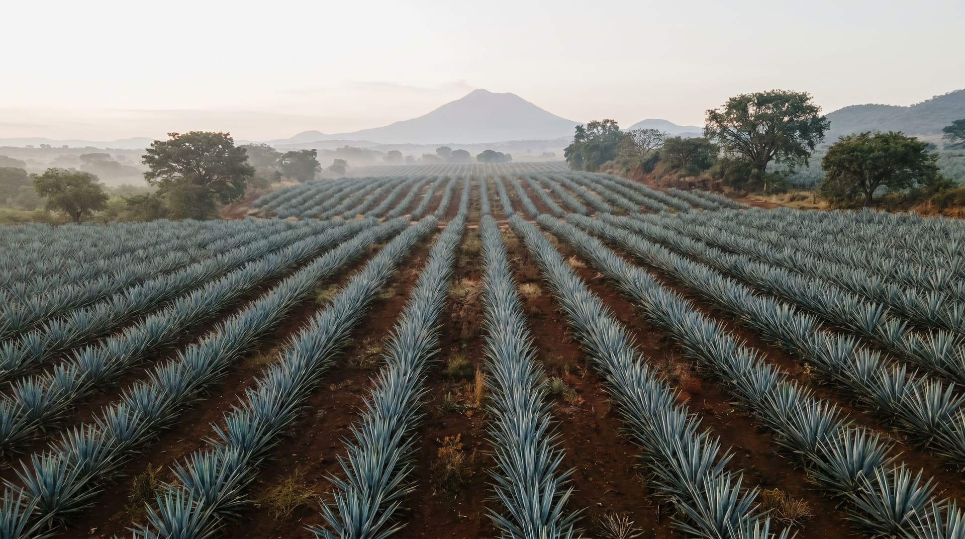 Tequila, Mexico, editorial landmark